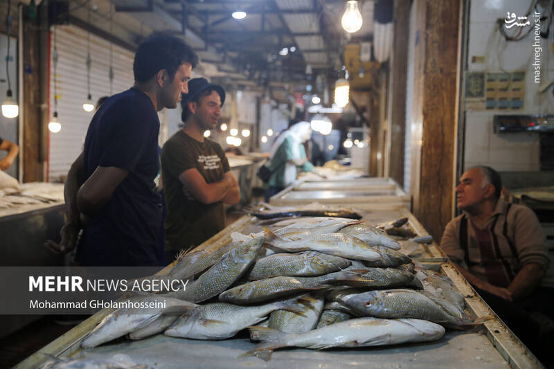 عکس/ بازار ماهی فروشان بوشهر