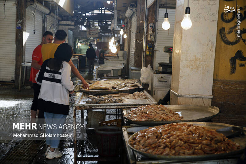 عکس/ بازار ماهی فروشان بوشهر