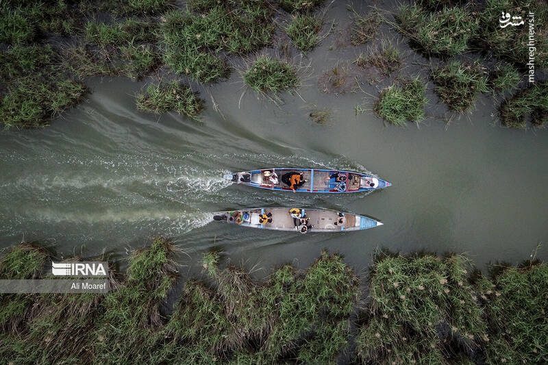 عکس/ تالاب شادگان