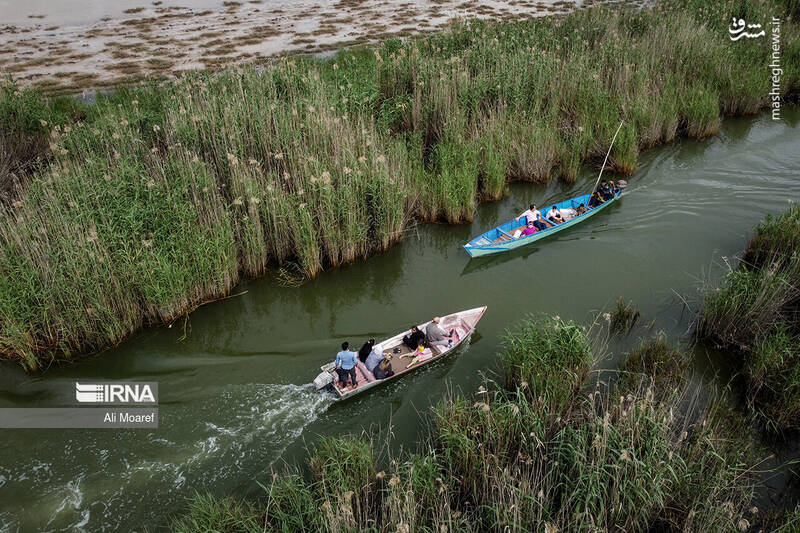 عکس/ تالاب شادگان