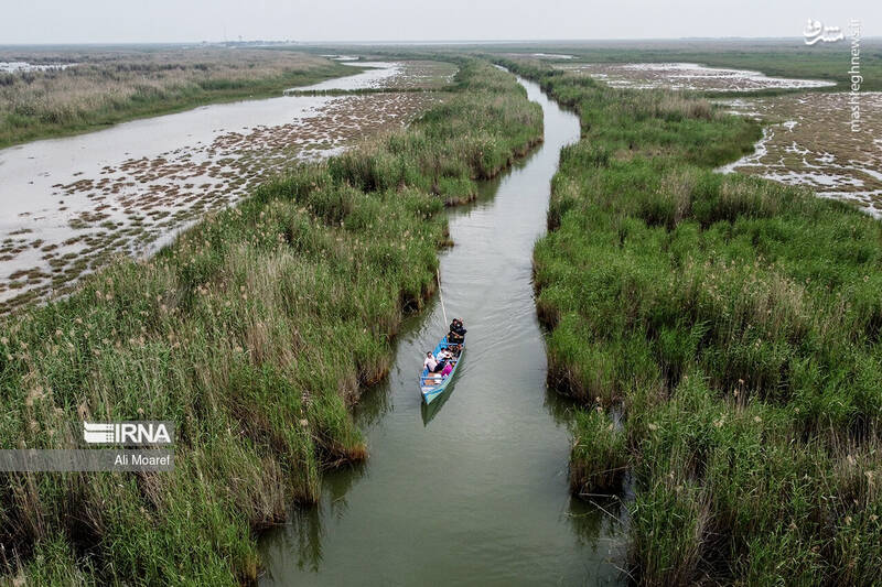 عکس/ تالاب شادگان