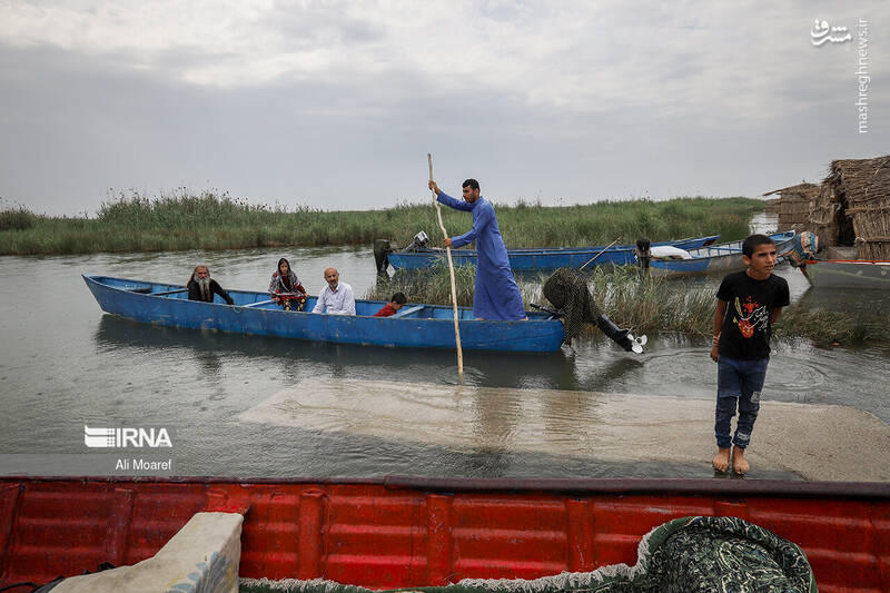عکس/ تالاب شادگان