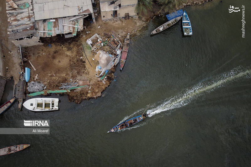 عکس/ تالاب شادگان