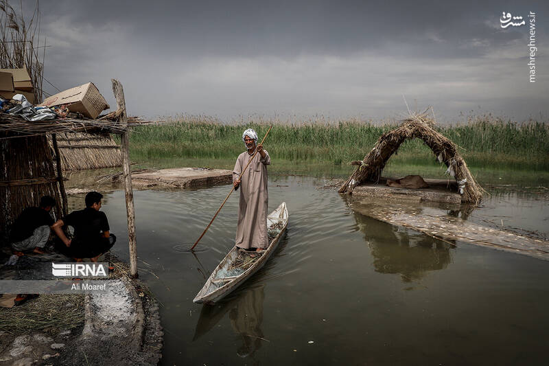 عکس/ تالاب شادگان