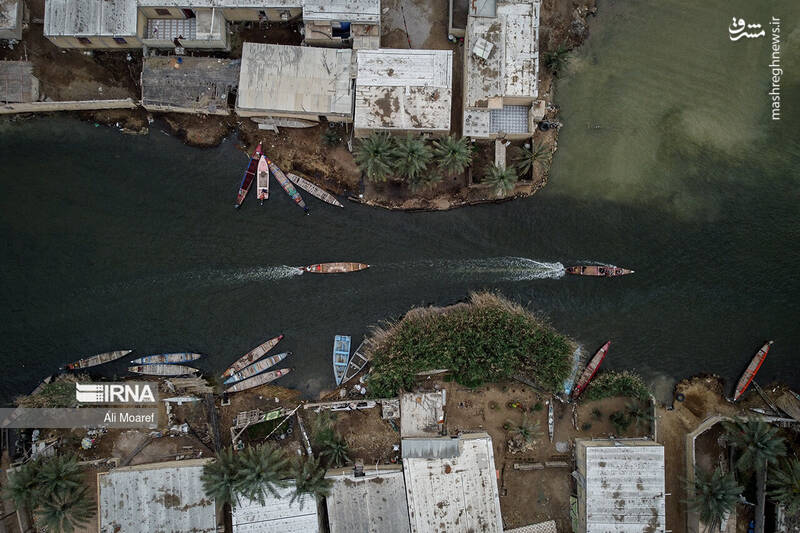 عکس/ تالاب شادگان