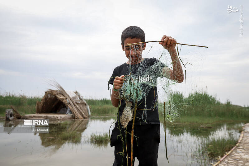 عکس/ تالاب شادگان