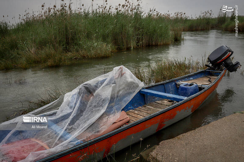 عکس/ تالاب شادگان