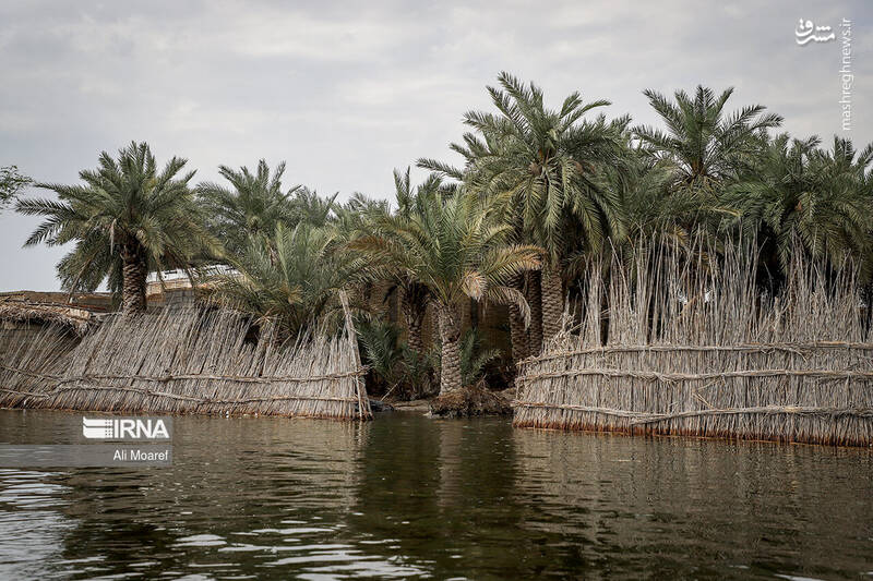 عکس/ تالاب شادگان