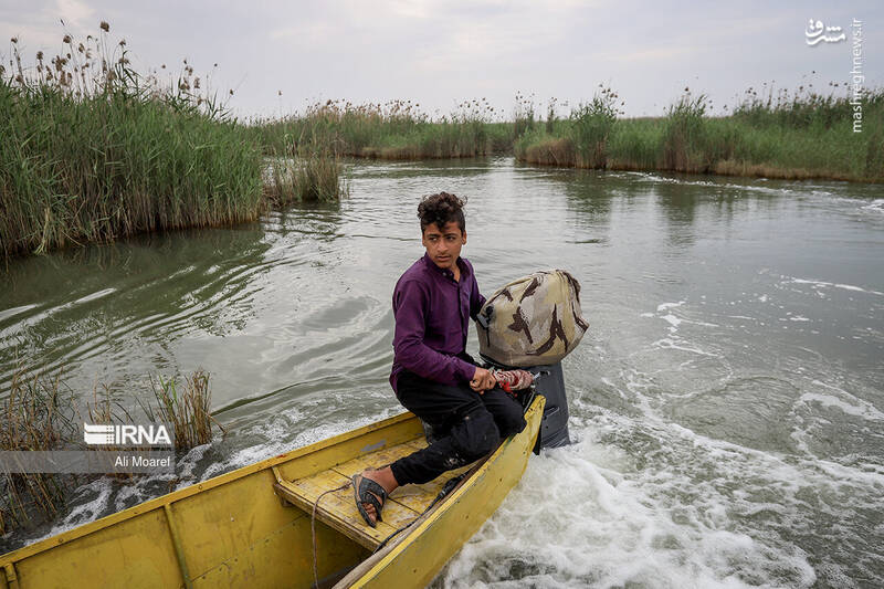 عکس/ تالاب شادگان