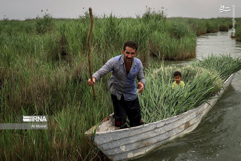 عکس/ تالاب شادگان