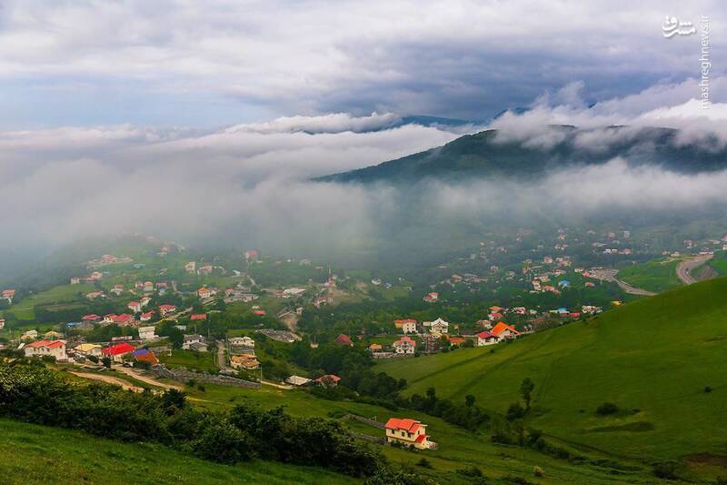 آشنایی با زیباترین جنگل‌های شمال کشور +تصاویر