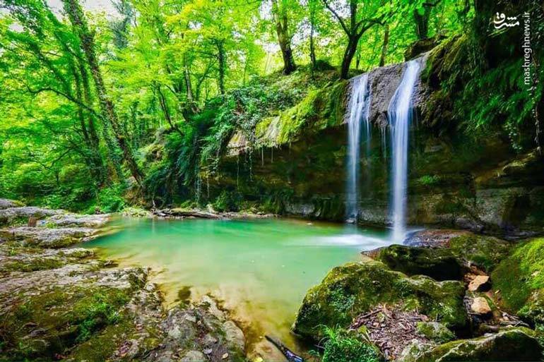آشنایی با زیباترین جنگلهای شمال کشور + تصاویر 19