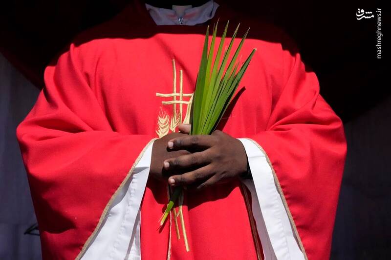 بزرگداشت یکشنبه نخل در کلیسای کاتولیک رومی در هراره-زیمباوه