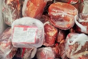 شناسایی و کشف انبار احتکار گوشت منجمد در هرمزگان