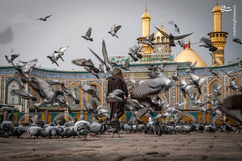 عکس/ حال و هوای حرم امام حسین(ع) در ماه رمضان