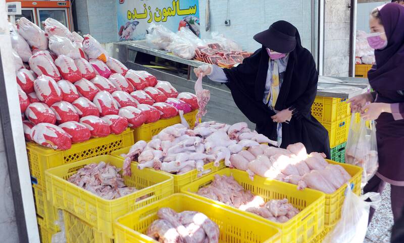 کمبود و گرانی دوباره مرغ در بازار / ابزارهای دولت برای کاهش قیمت مرغ چیست 2