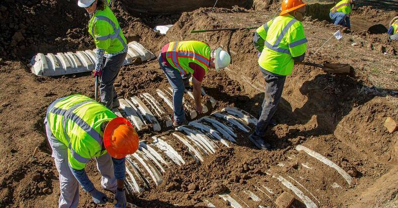 کشتار تولسا؛ بزرگترین قتل عام نژادپرستانه تاریخ آمریکا