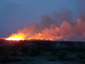 فیلم| شعله‌ور شدن آتش در کویر میقان