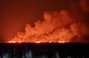 آتش‌سوزی در تالاب میقانِ اراک