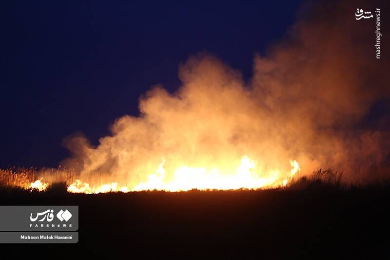 عکس/ شعلههای آتش بر تنِ تالاب میقان
