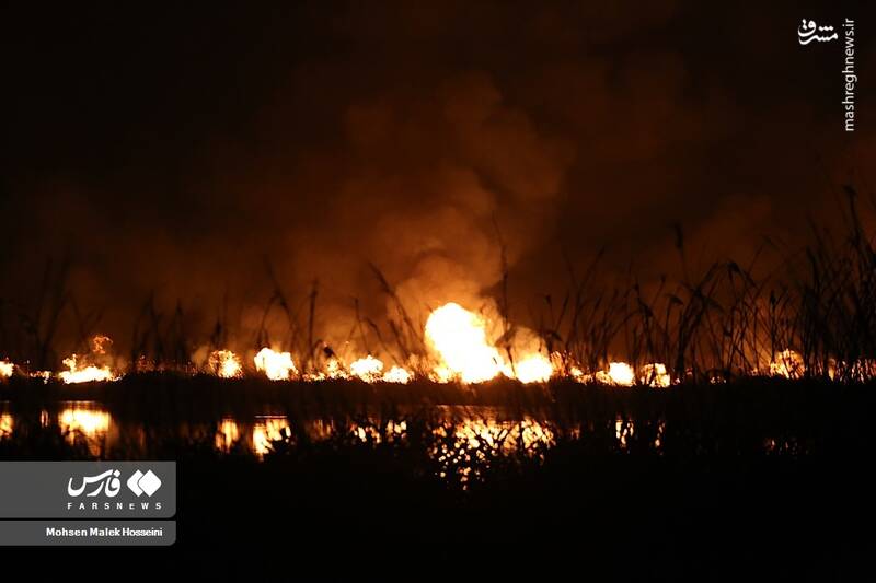 عکس/ شعلههای آتش بر تنِ تالاب میقان