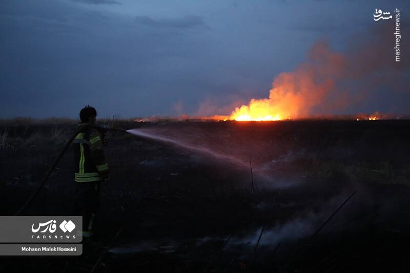 عکس/ شعلههای آتش بر تنِ تالاب میقان
