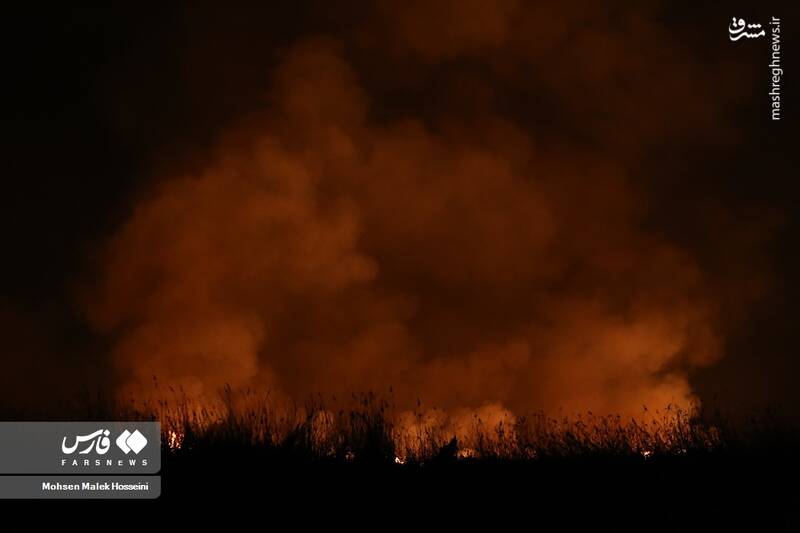 عکس/ شعلههای آتش بر تنِ تالاب میقان