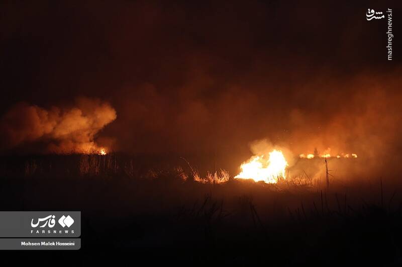 عکس/ شعلههای آتش بر تنِ تالاب میقان