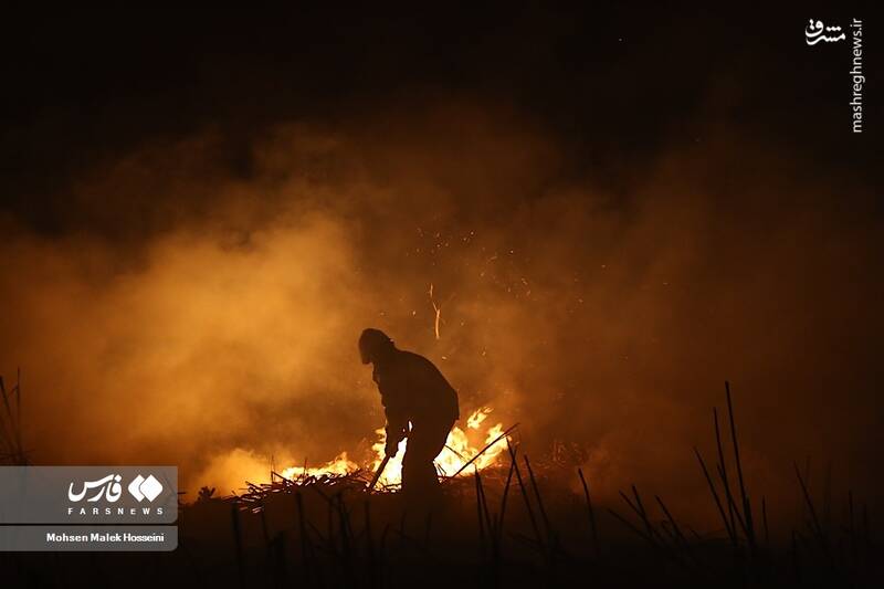 عکس/ شعلههای آتش بر تنِ تالاب میقان