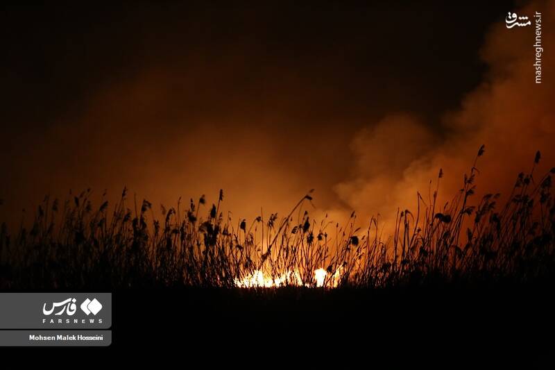 عکس/ شعلههای آتش بر تنِ تالاب میقان
