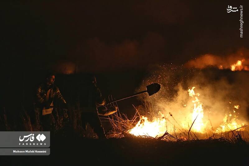 عکس/ شعلههای آتش بر تنِ تالاب میقان