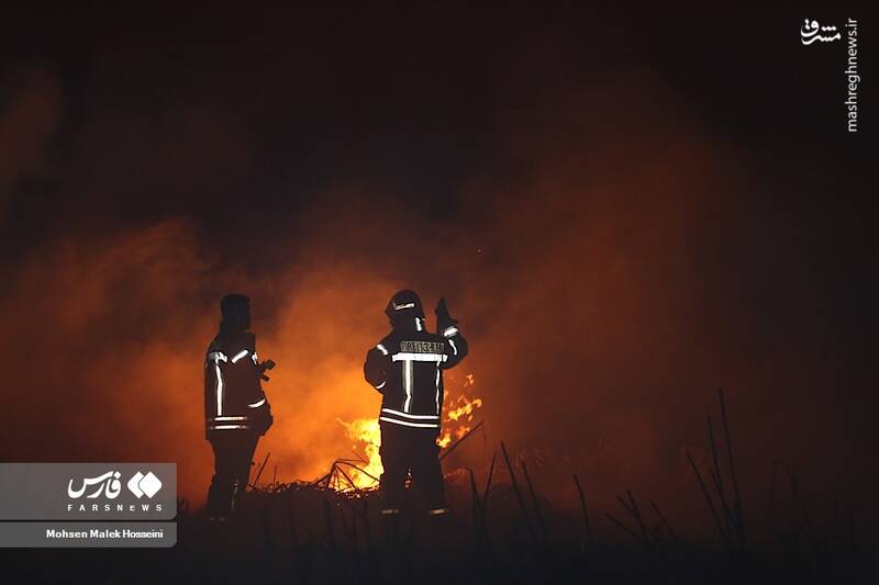 عکس/ شعلههای آتش بر تنِ تالاب میقان