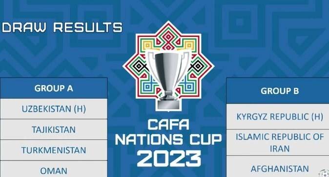 تیم ملی فوتبال ایران , امیر قلعهنویی ,