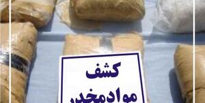 عناصر حرفهای قاچاق مواد مخدر؛ زیر ذرهبین پلیس / محموله تریاک از یک خانواده کشف شد