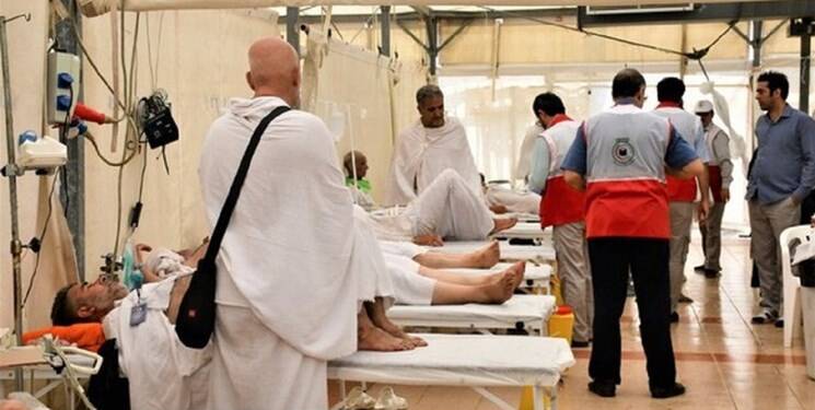 جزئیات اعزام ۸۷ هزار زائرایرانی خانه خدا/ حضور ۲۳۰۰ زائر بالای ۸۰ سال در حج امسال