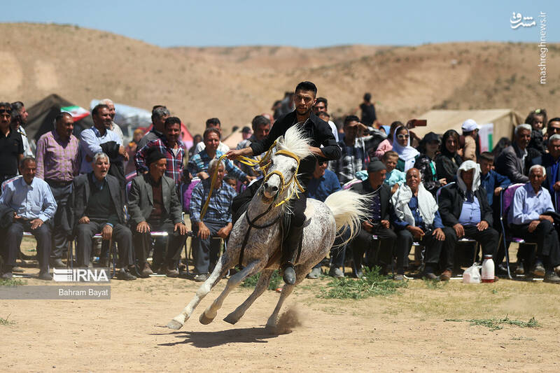 عکس / جشنواره عشایری «قره اوغلانلو» 11