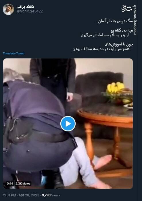 سگ دونی به نام آلمان + فیلم