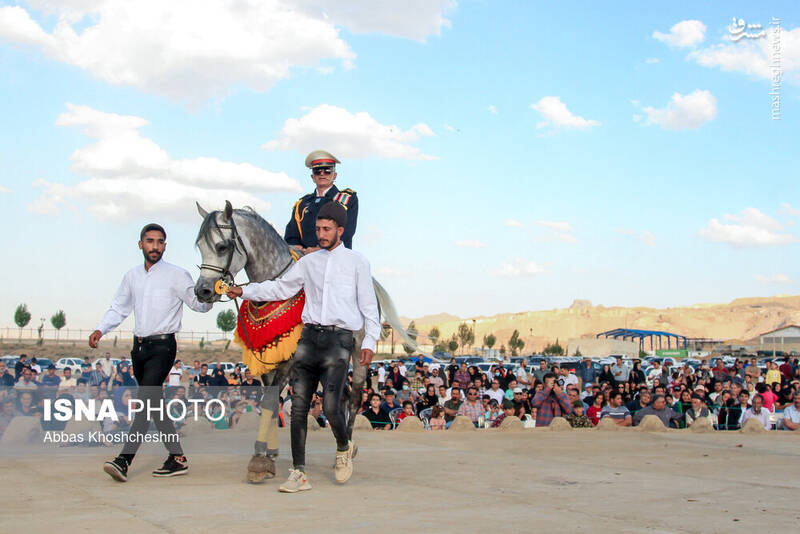 عکس/آیین سنتی بیلگردانی - نیمور محلات