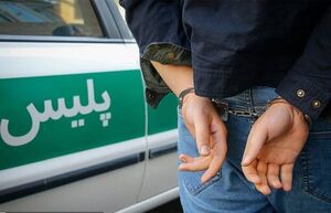دو زورگیر مامورنما در جنوب تهران دستگیر شدند/اعتراف به ۲۰ سرقت