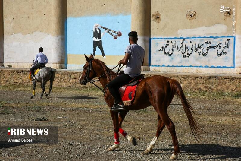 عکس/ آئین سنتی پهلوانی بیل گردانی نیم ور