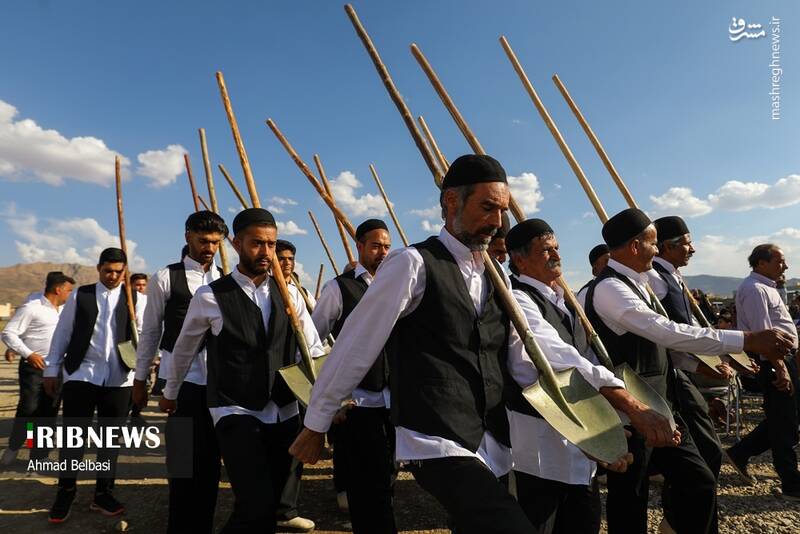 عکس/ آئین سنتی پهلوانی بیل گردانی نیم ور