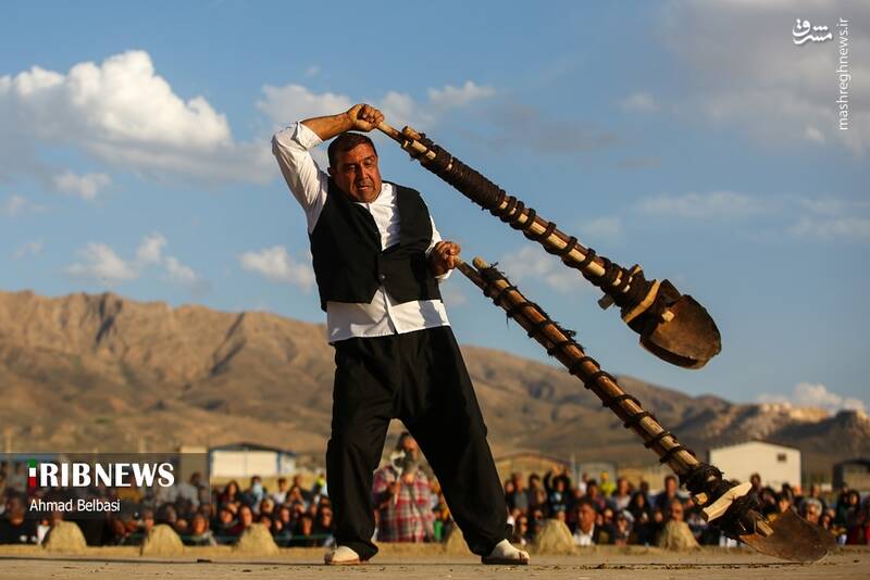 عکس/ آئین سنتی پهلوانی بیل گردانی نیم ور