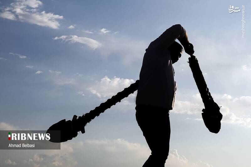 عکس/ آئین سنتی پهلوانی بیل گردانی نیم ور