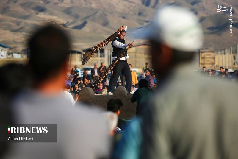 عکس/ آئین سنتی پهلوانی بیل گردانی نیم ور