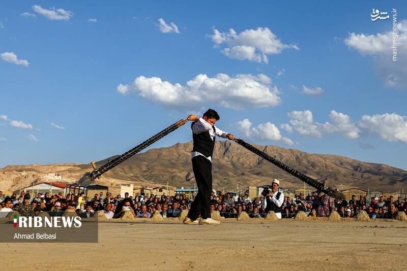 عکس/ آئین سنتی پهلوانی بیل گردانی نیم ور