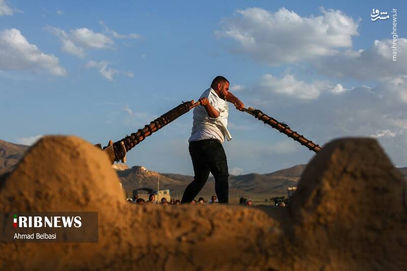 عکس/ آئین سنتی پهلوانی بیل گردانی نیم ور
