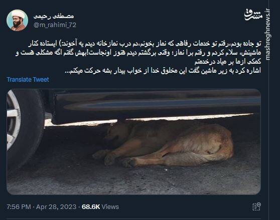 برخورد عجیب یک آخوند با یک سگ+ عکس