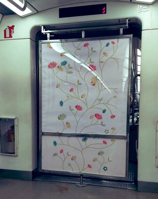 به روزنامه هم میهن: شما نخوردید نان گندم، ما دیدیم دست مردم!