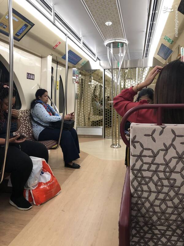 به روزنامه هم میهن: شما نخوردید نان گندم، ما دیدیم دست مردم!