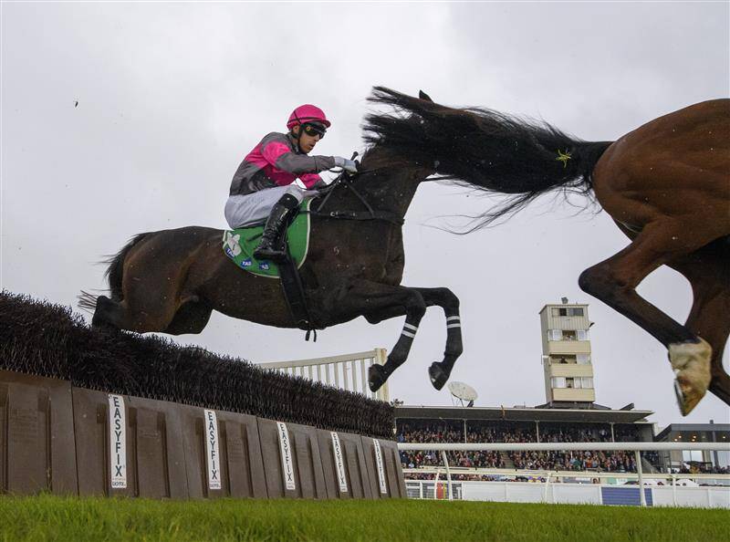 عکس / مسابقات اسب دوانی در استرالیا 20